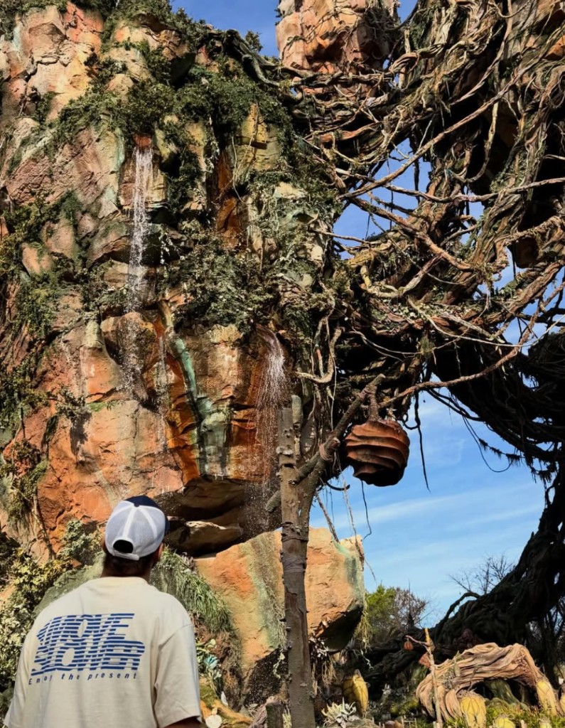 Looking up at Avatar scenery