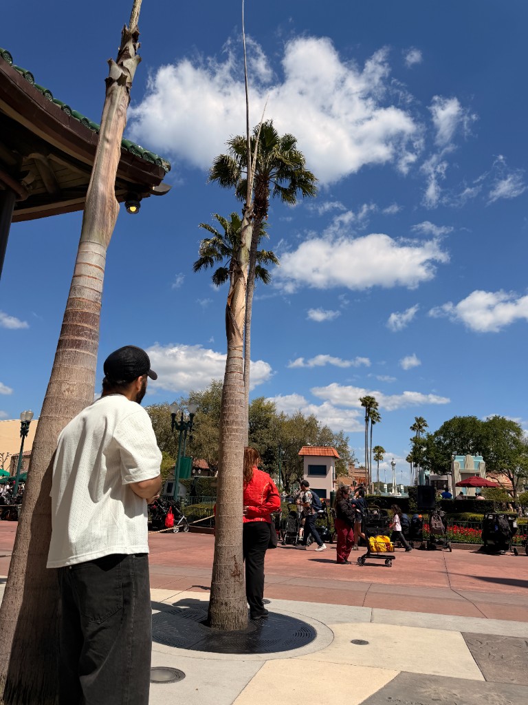 Walking near palm trees